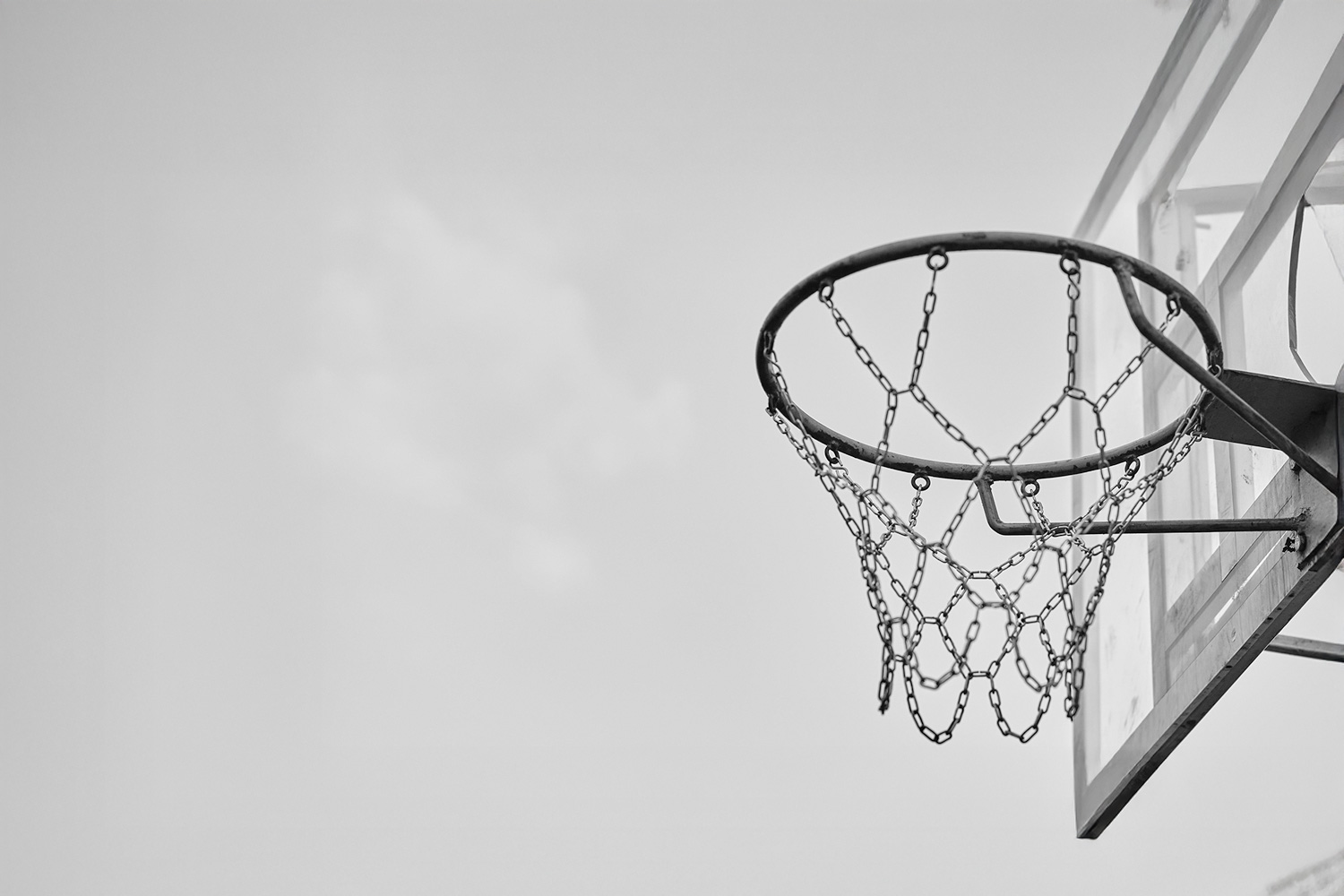 Basketbol Potası